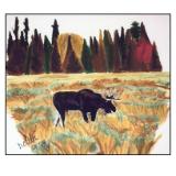 19 - moose outside jackson hole, wyoming