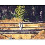 16 - yellowstone  wooden bridge, wyoming